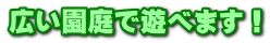 LŗVׂ܂I