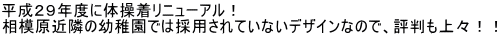 QXNxɑ̑j[AI ͌ߗׂ̗ctł͍̗pĂȂfUCȂ̂ŁA]XII